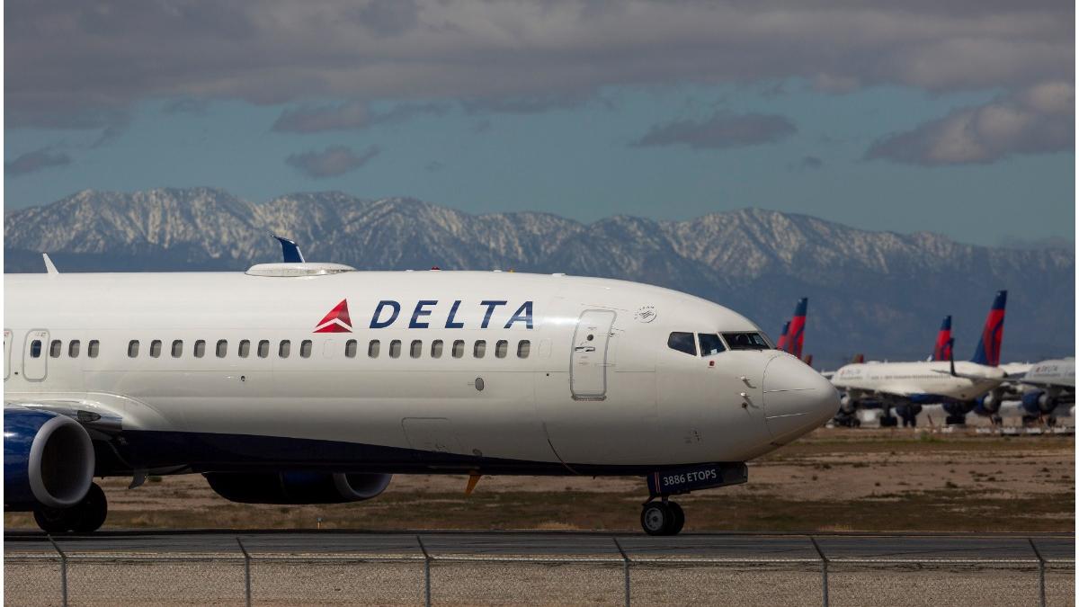 pasare loveste avion