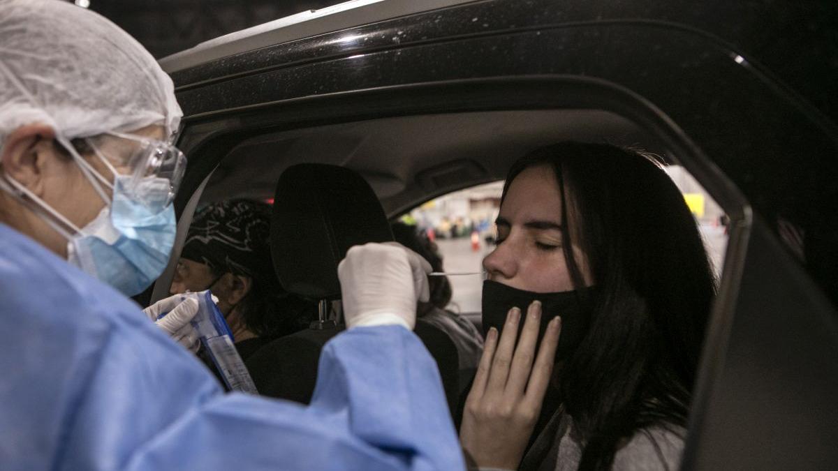 coreea de nord niciun caz coronavirus