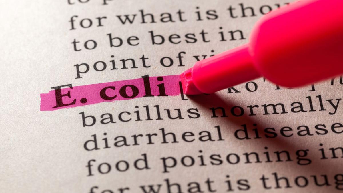 infectie urinara ecoli prevenire