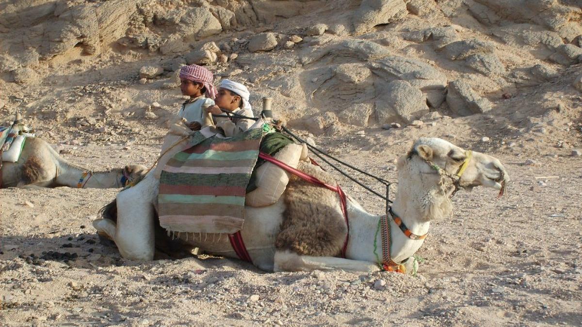 rezerva bilete avion hurghada