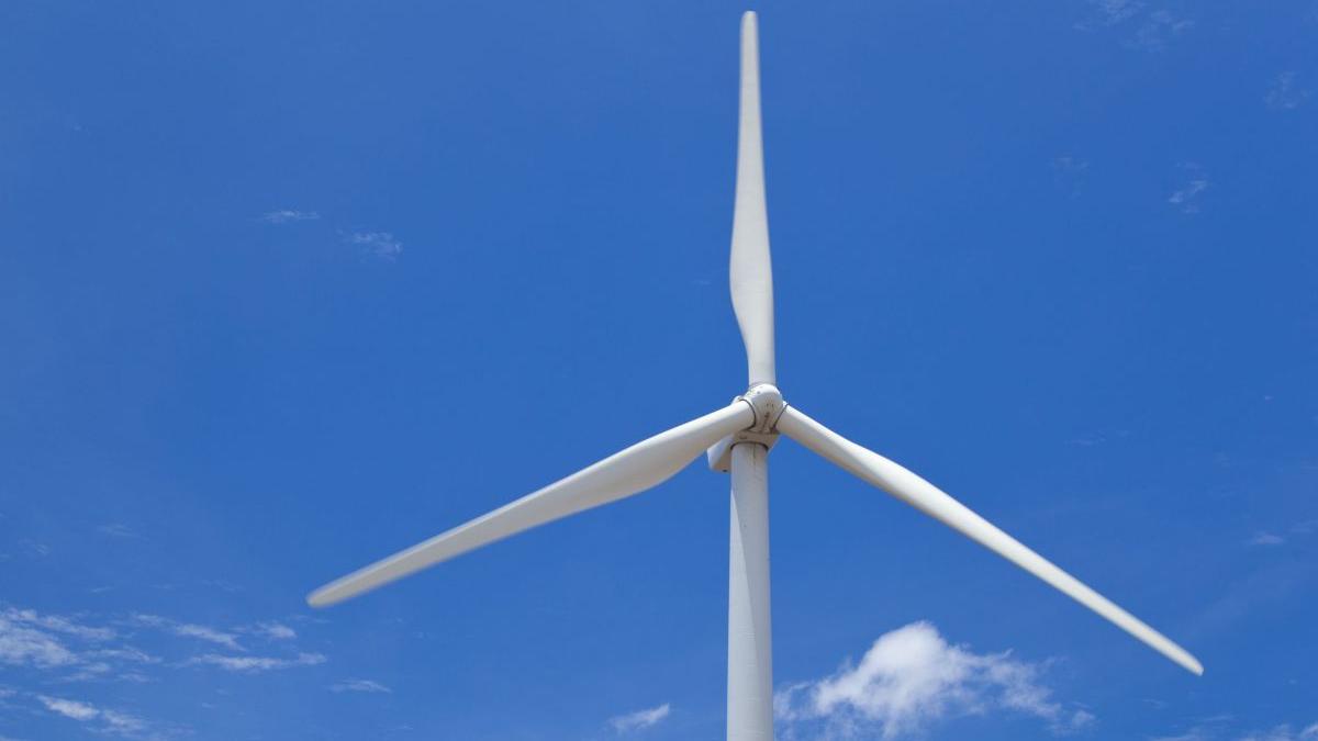 barbat mort turbine eoliene chirnogeni