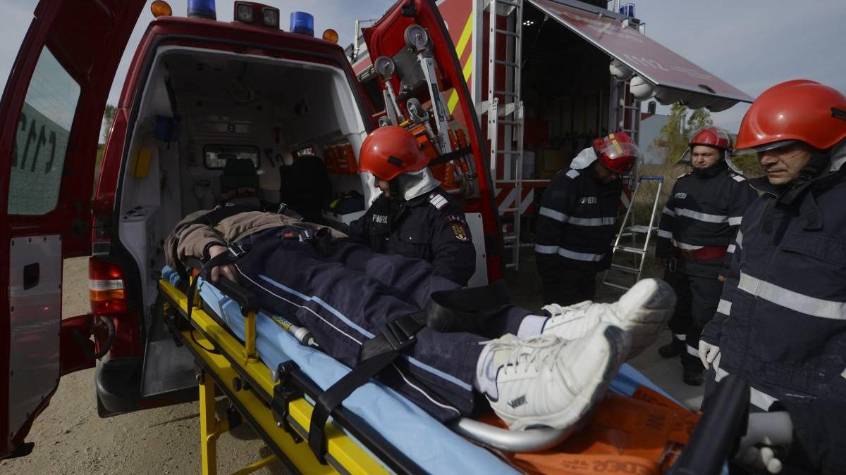 barbat murit copaci cazuti peste el