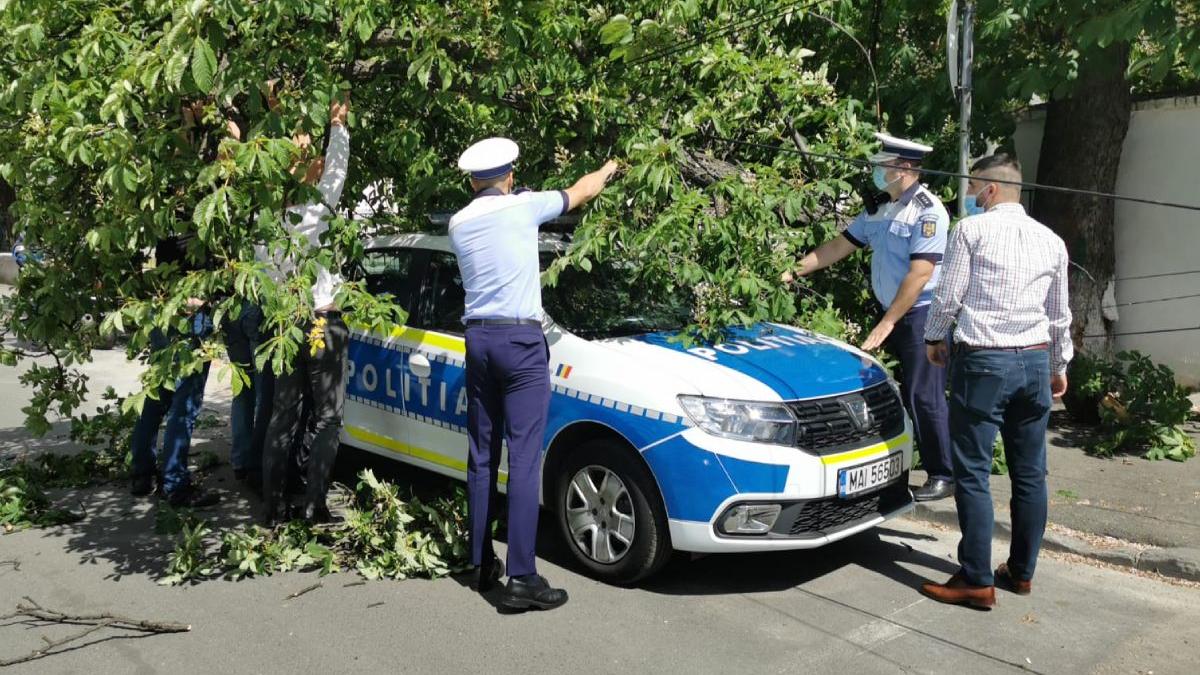 masina politie strivita copac smuls vant bucuresti