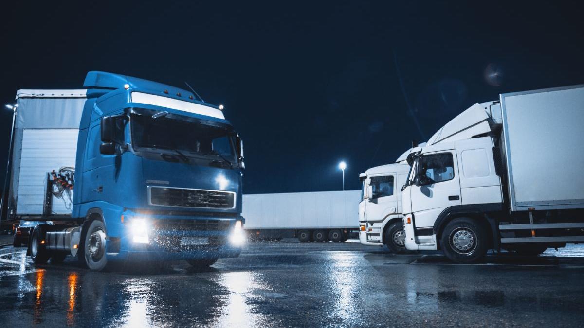 petitie online sofer roman de tir omorat franta