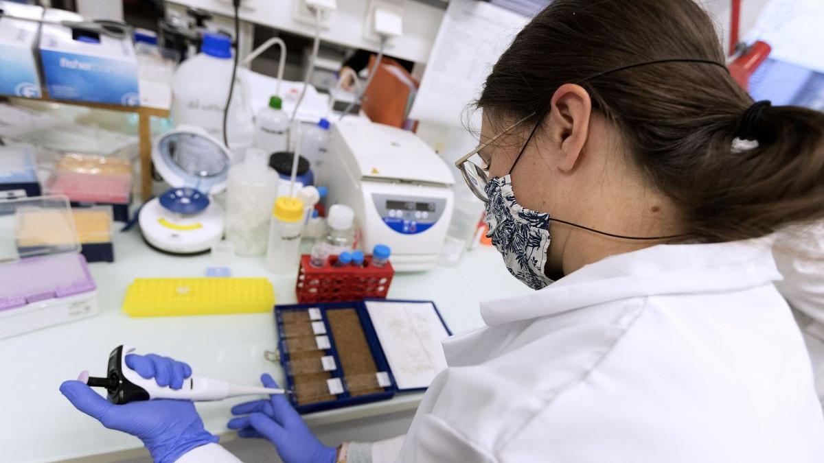 sua cancer colonorectal adulti 45 ani examinare anuala