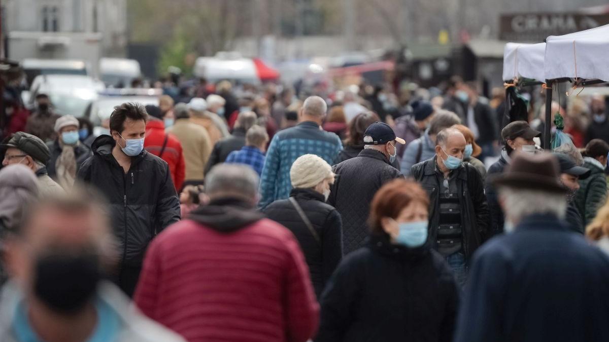 top 5 frici romani pandemie explicatiil phologul mirela zivari