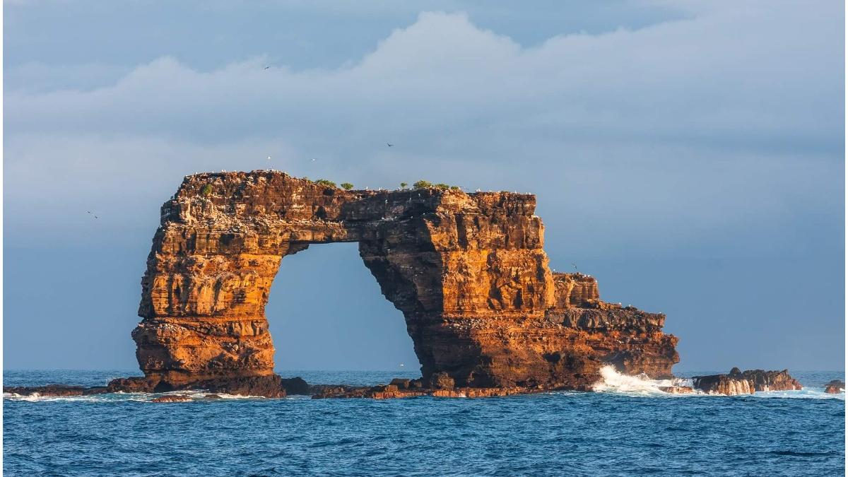 Arcul lui Darwin, din insulele Galapagos, s-a prăbușit în mare