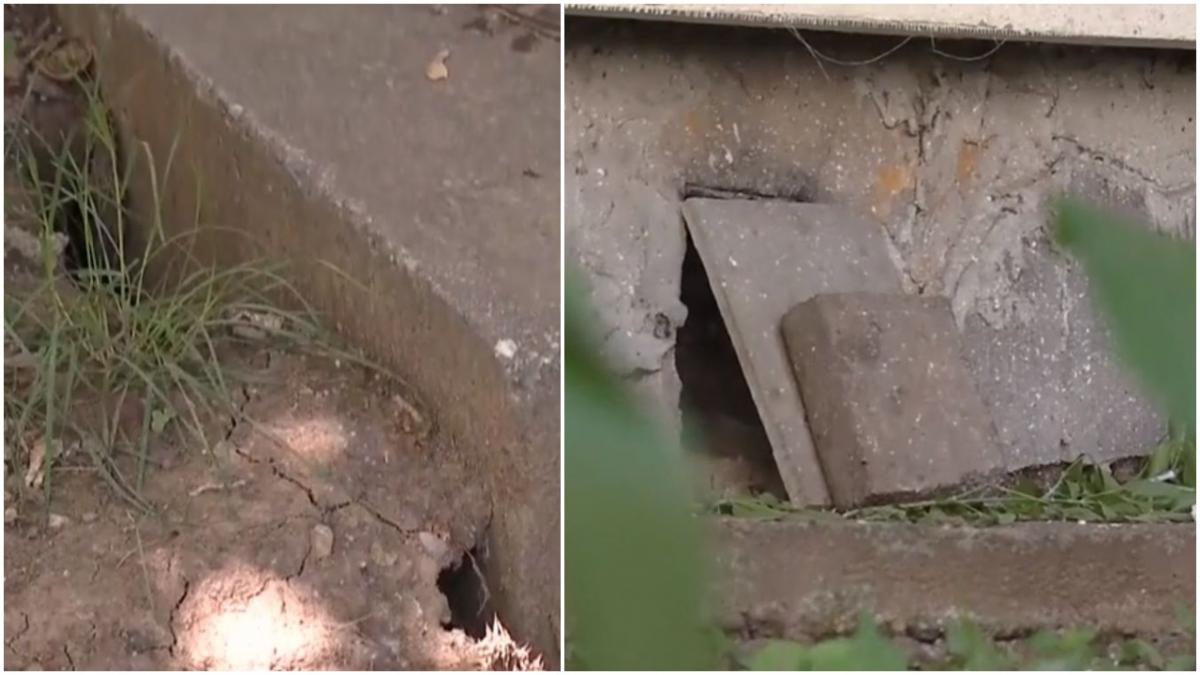 invazie sobolani cartierul militari