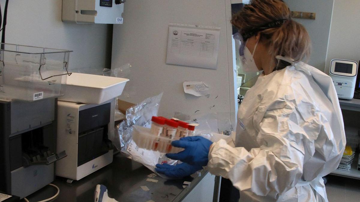 corectitudinea rezultatelor testelor covid din romania pusa la indoiala