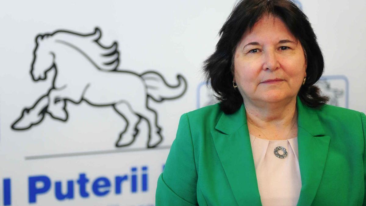 doina parcalabu ppu social liberal pensii