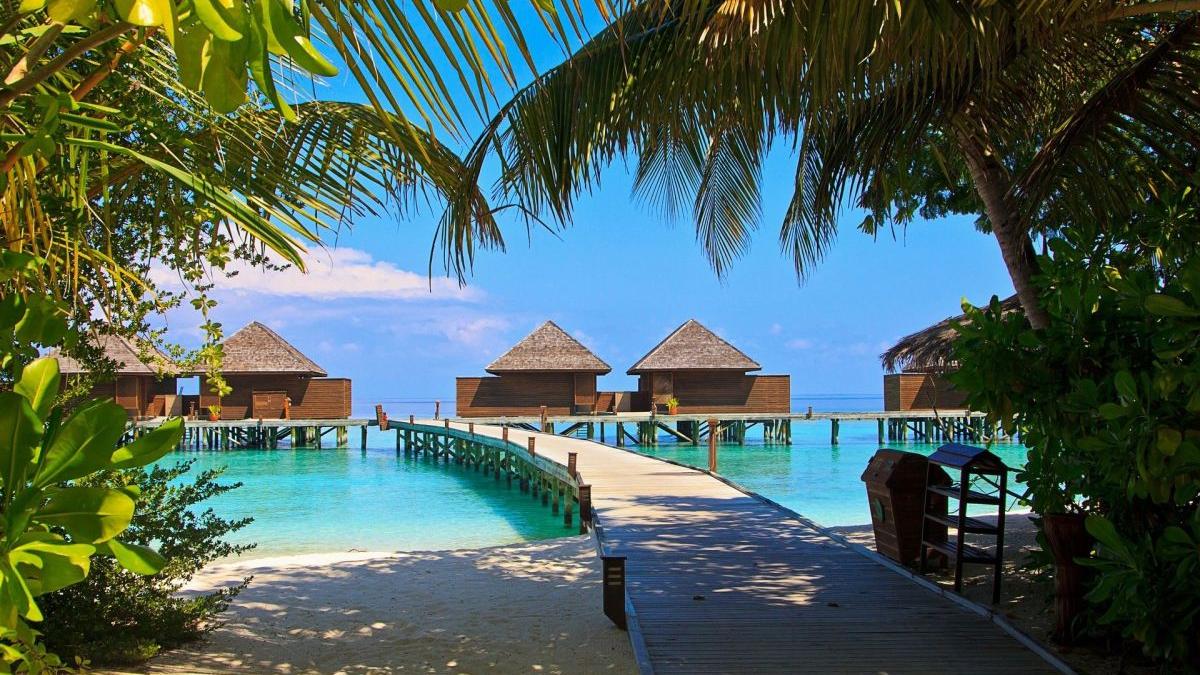 insulele maldive pericol disparitie schimbari climatice