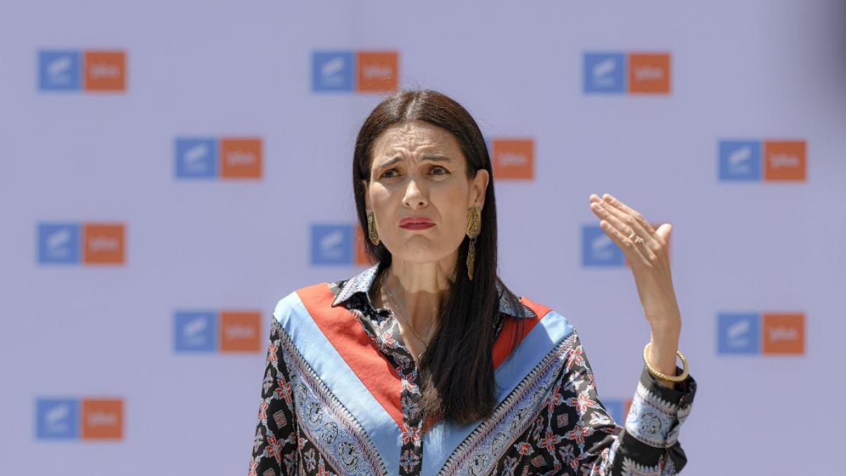 clotilde armand radu mihaiu hartii primari