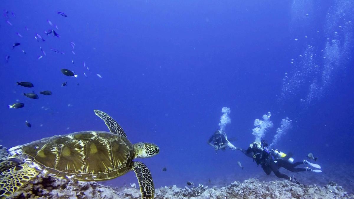 robert ballard titanic foamete razboi supravietuirea speciei economie albastra