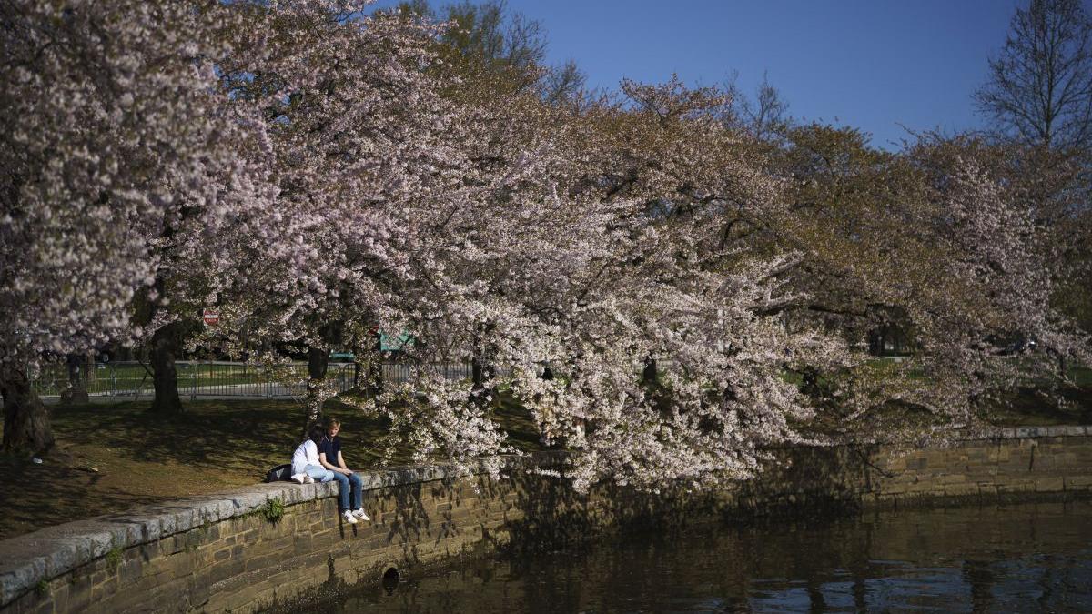 vremea prognoza meteo 24 mai 21 iunie