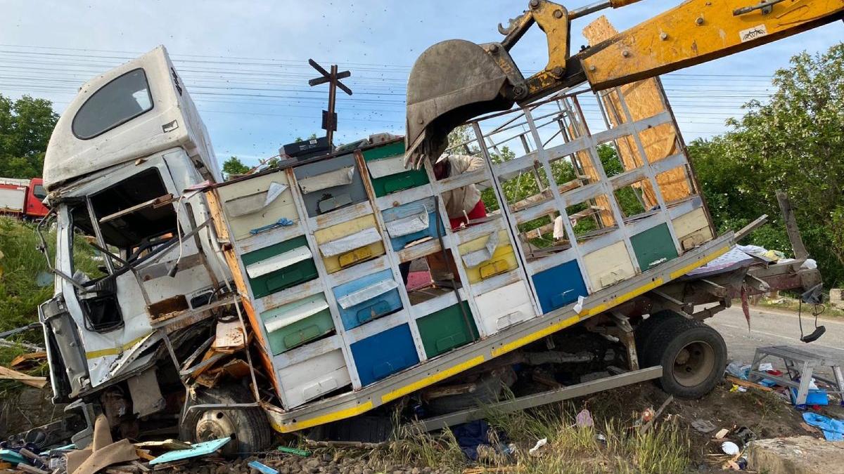 camion stupi albine spulberat tren doi calatori piatra olt