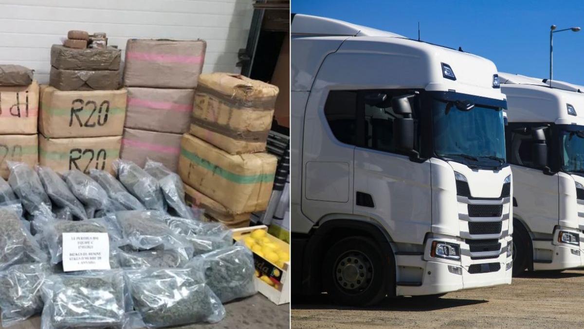 sofer roman de tir amenda milioane euro cinci ani inchisoare franta