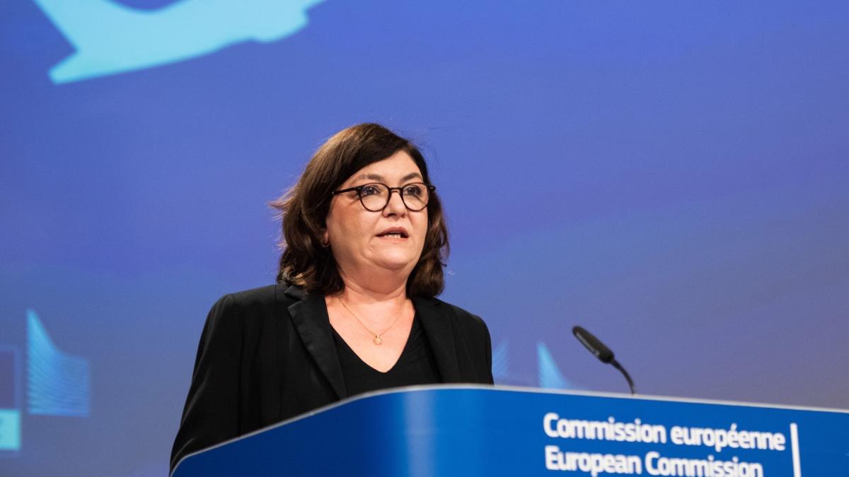 adina valean avion deturnat belarus