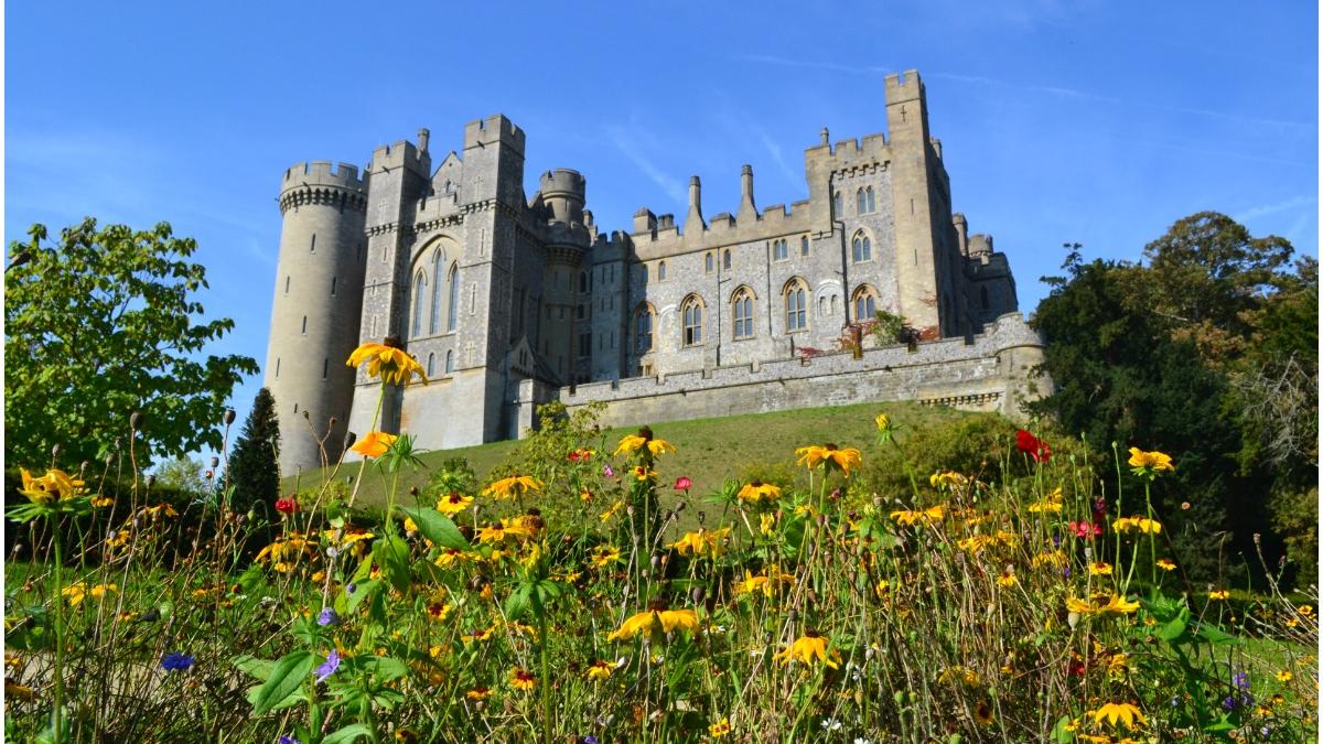 castel scotia jefuit