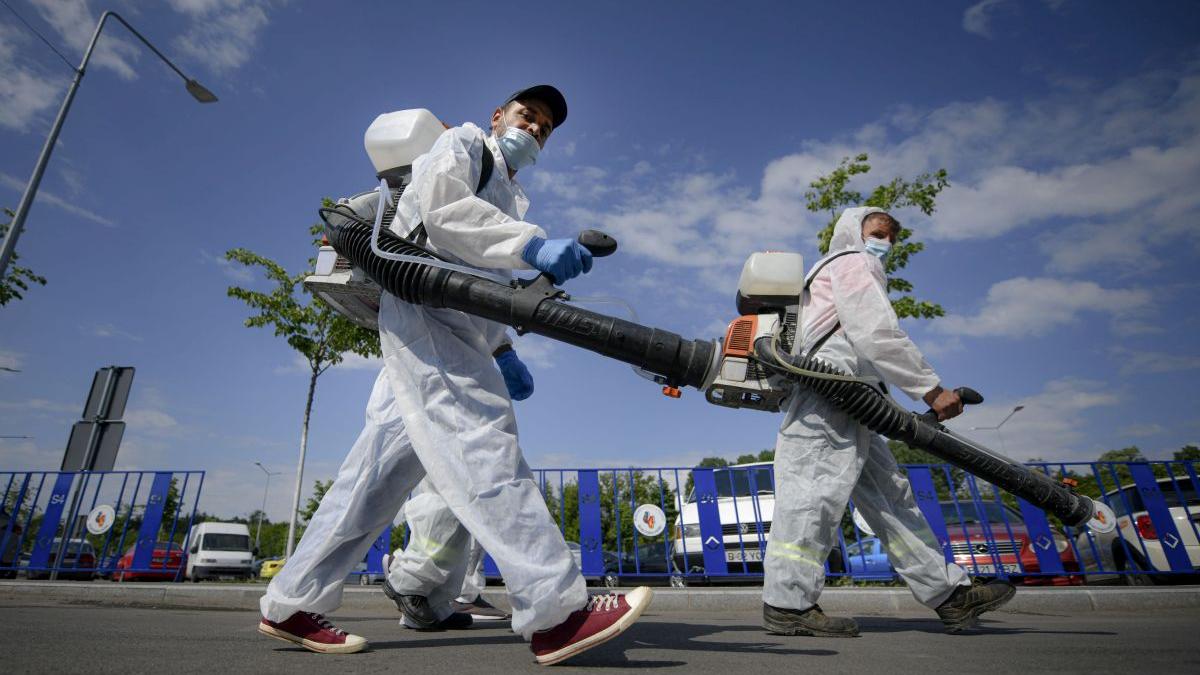 protest dezinsectie capitala