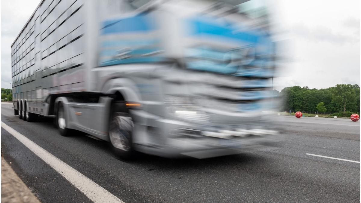 sofer tir canabis franta