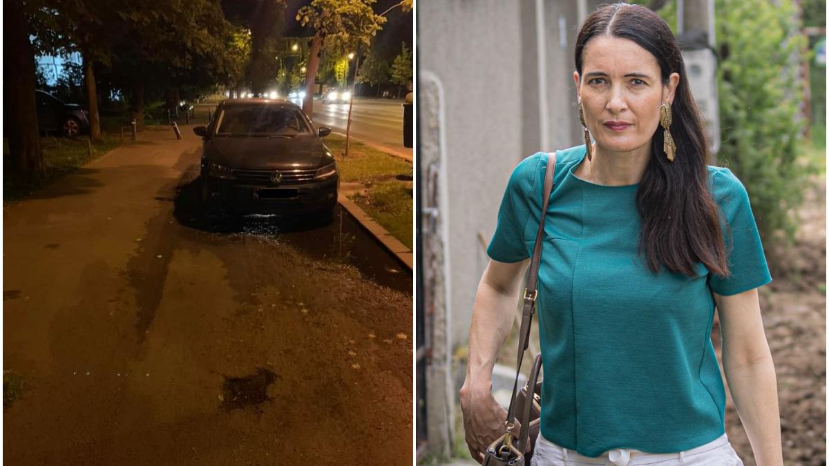 clotilde armand razboi bucuresteni parcari alexandru ganci