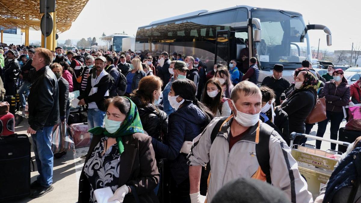 teste covid false autocar spania franta romania