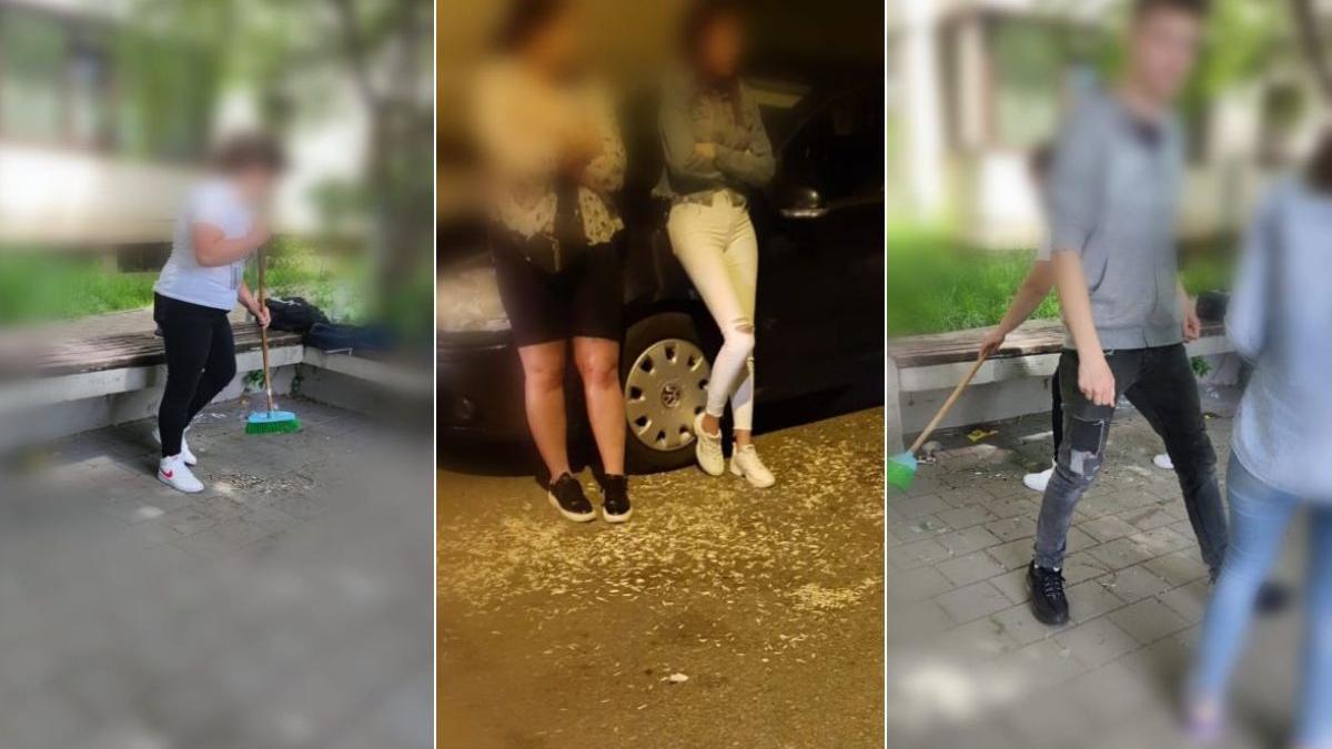 tineri amendati pusi sa mature coji seminte pitesti