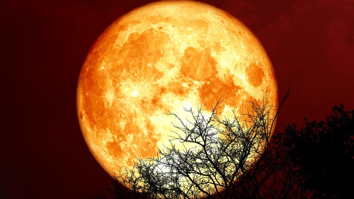 horoscop luna sangerie 26 mai 2021