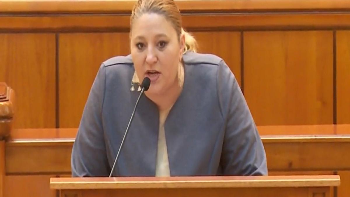 sosoaca citu eminescu camera deputatilor