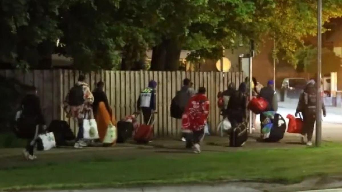 romani parasiti olanda agentie ocupare forta de munca