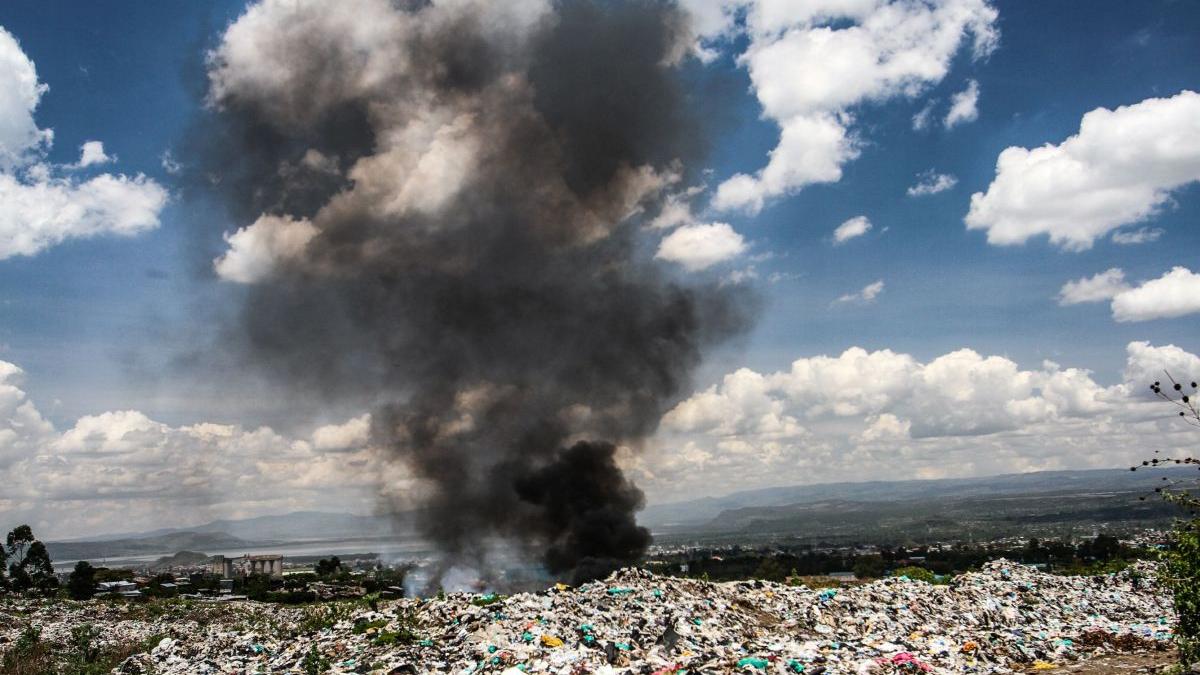 garda mediu octavian berceanu victime poluare mai multe decat covid