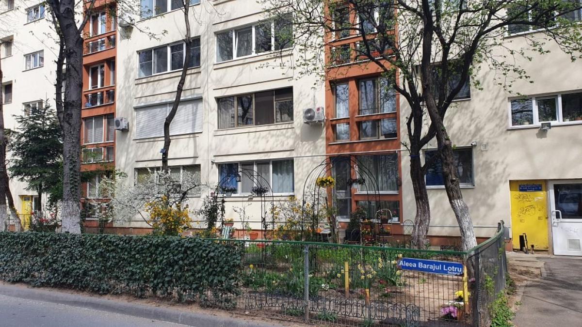 gradina fata blocului norme ingrijire