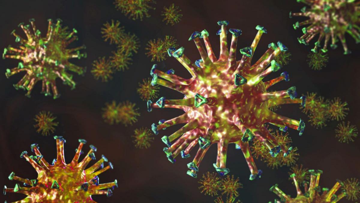 organizatia mondiala a sanatatii varianta indiana covid