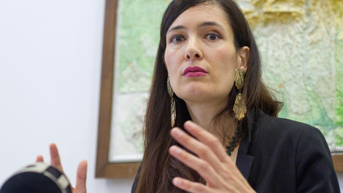 procuror clotilde armand fraude sectii votare