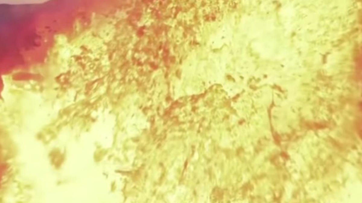 vulcan fagradalsfjall drona prabusire islanda joey helms