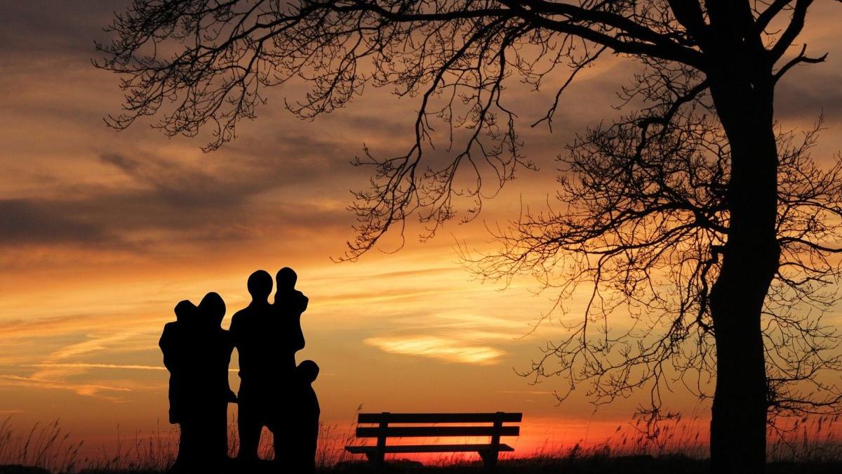 2 iunie ziua nationala a adoptiei romania