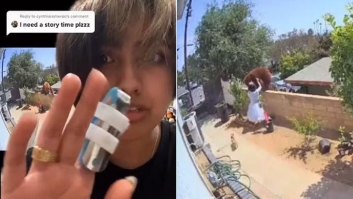 fata filmata impinge urs povestit tiktok