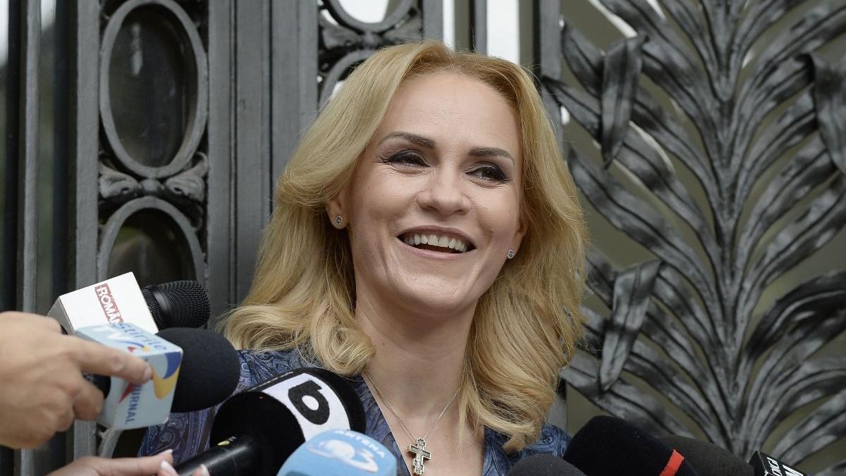 gabriela firea apa calda opere arta