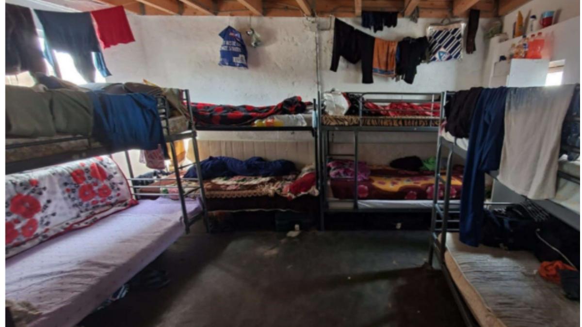 olanda maasgouw linne muncitori sparanghel