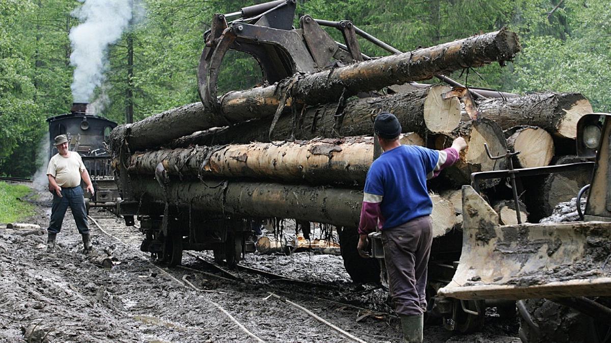 se scumpeste lemnul de foc pretul s a dublat intr o singura luna