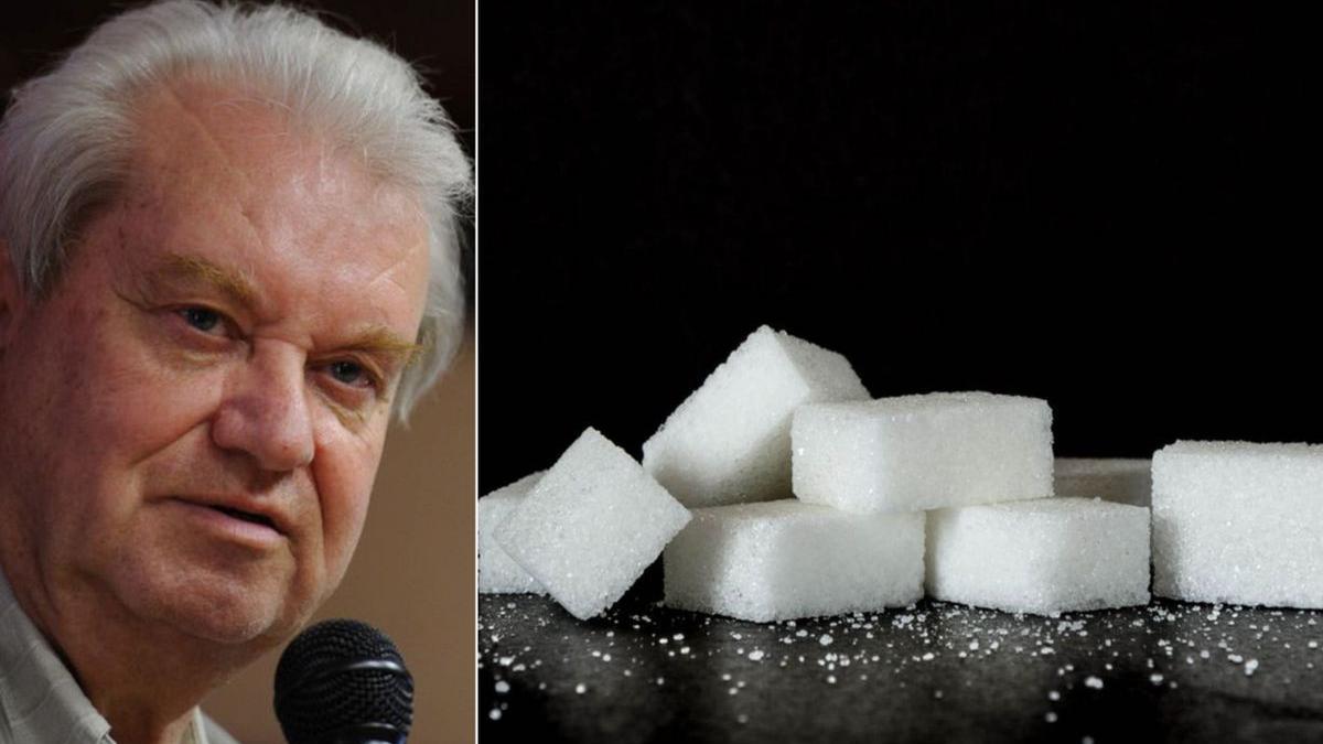 zahar aditivi alimente mencinicopschi otravire celula nervoasa