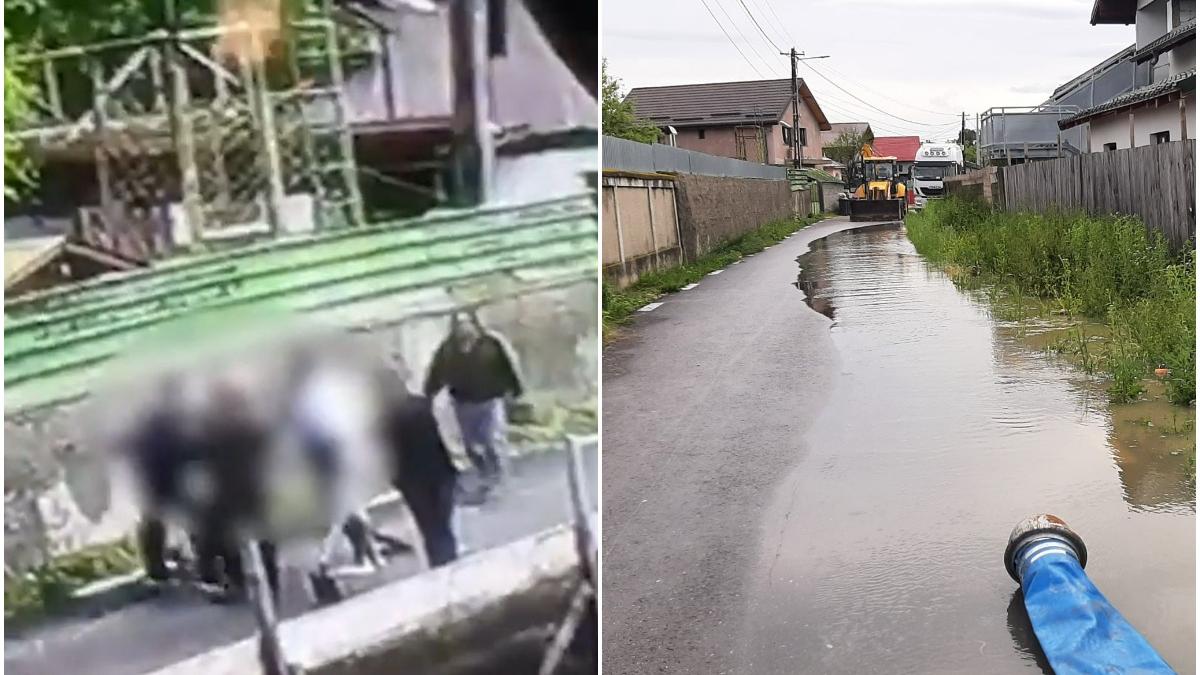 bataie pumni lopeti inundatie