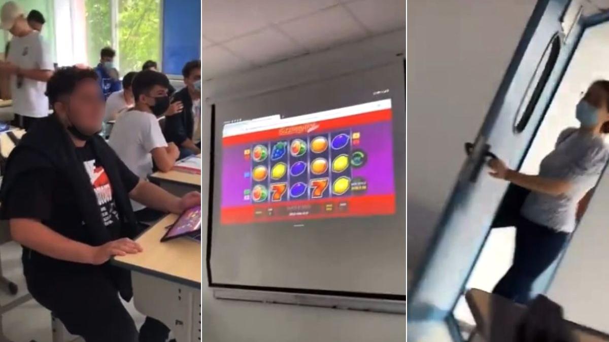 elev profesoara pacanele tabla liceu