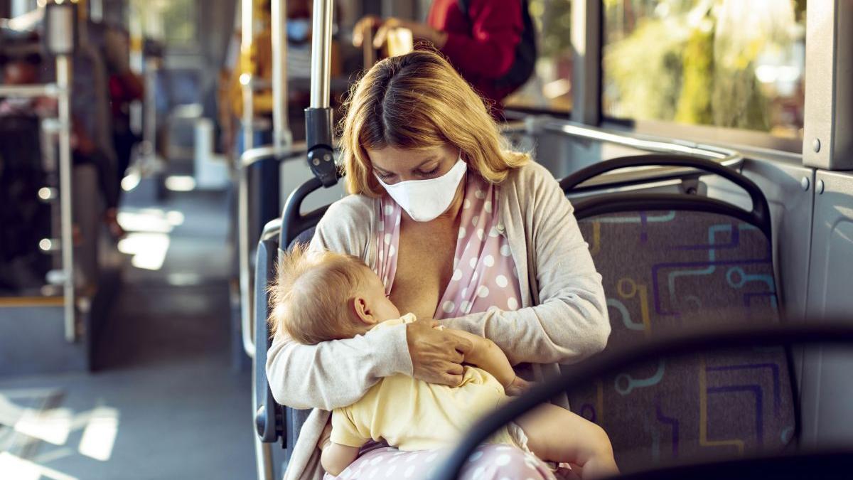 lege alaptare in public adoptata alina gorghiu