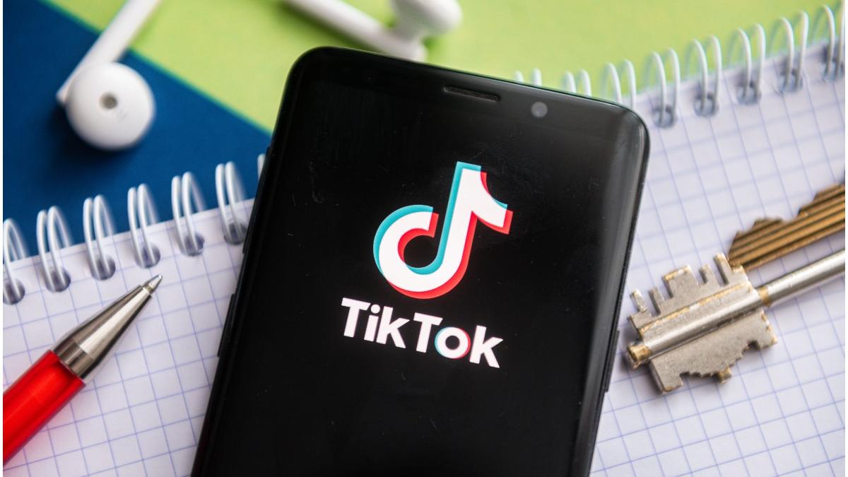 parinti olandezi proces tiktok despagubiri