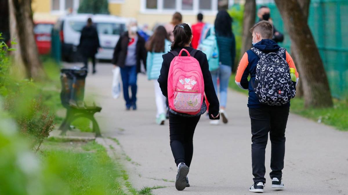 psd sesizeaza ccr alocatii nu vor fi majorate