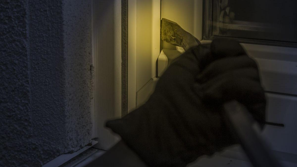 maramures jaf ocolul silvic viseu de sus