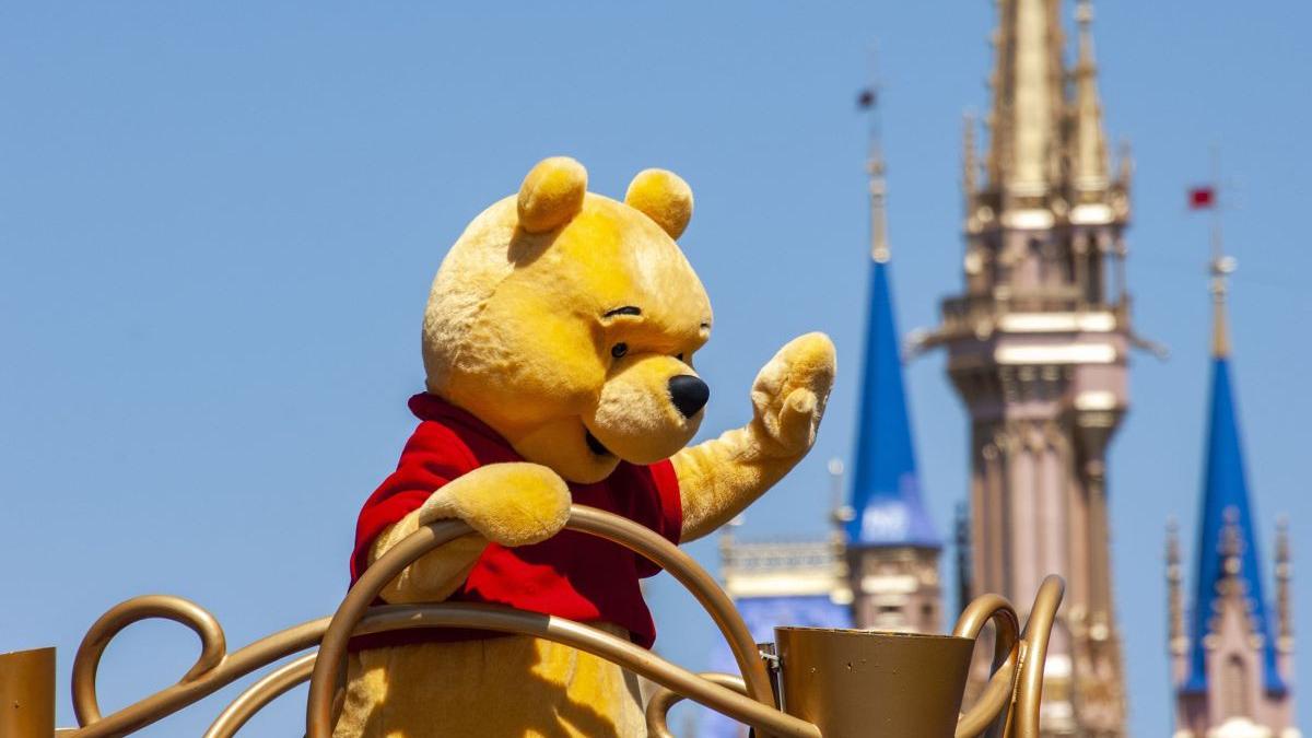 americanca cartea recordurilor cea mai mare colectie jucarii winnie the pooh