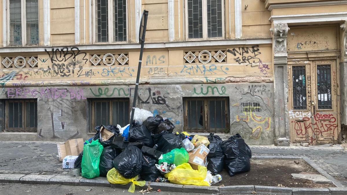 seful garzii de mediu anunta sanctiuni plangeri penale gunoaie sector 1