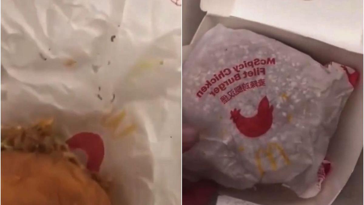 burger viermi vii copii